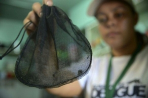 Membros da Funda&ccedil;&atilde;o Migente monitoram armadilhas para o mosquito transmissor do v&iacute;rus zika, no munic&iacute;pio de Bello, departamento de Antioquia, na Col&ocirc;mbia, em 26 de janeiro de 2016