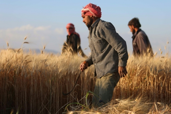 Dezenas de milhares de civis est&atilde;o presos em meio aos combates em regi&otilde;es da S&iacute;ria e do Iraque, com ONGs e ativistas convocando a comunidade internacional a agir com urg&ecirc;ncia.