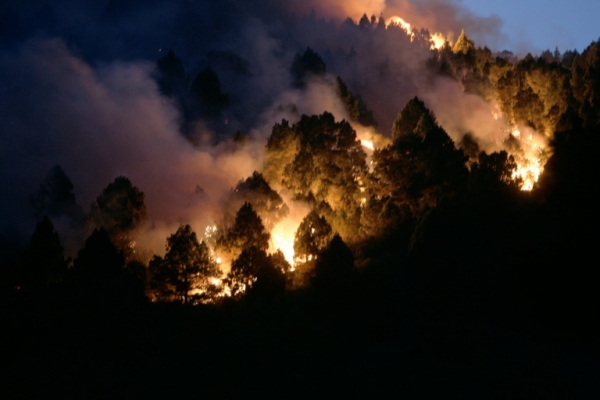 (Arquivo) A pol&iacute;cia chinesa acusou o pai e dois irm&atilde;os de um dissidente chin&ecirc;s que mora no exterior de inc&ecirc;ndio criminoso