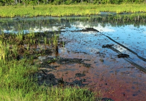 (Arquivo) Vazamento em &aacute;rea do rio Maranon, na Amaz&ocirc;nia peruana