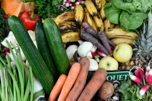 A Am&eacute;rica Latina desperdi&ccedil;a at&eacute; 348.000 toneladas de alimentos por dia, com as quais pode alimentar 37% das pessoas que passam fome no mundo, alertou a FAO nessa quarta-feira