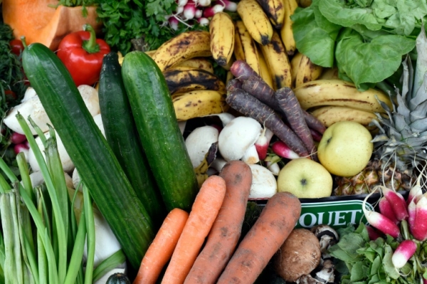 A Am&eacute;rica Latina desperdi&ccedil;a at&eacute; 348.000 toneladas de alimentos por dia, com as quais pode alimentar 37% das pessoas que passam fome no mundo, alertou a FAO nessa quarta-feira