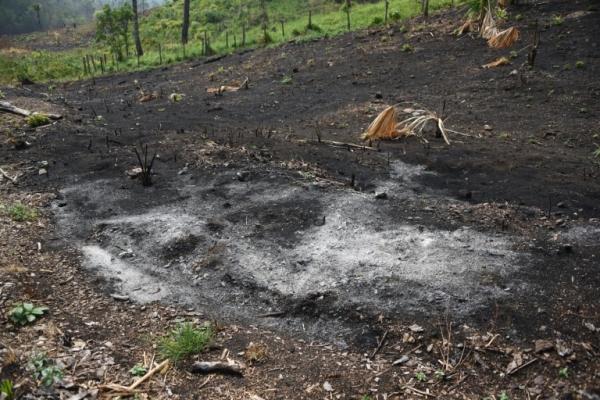 Regi&atilde;o queimada na Biosfera Maya, no departamento de P&eacute;ten, Guatemala, no dia 5 de junho de 2016